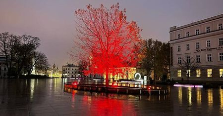 Plac Litewski dziś w barwach białoruskich, jutro fioletowy. Dwie ważne okoliczności, dwie iluminacje
