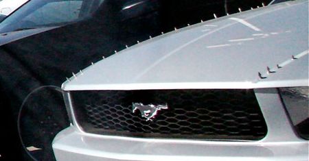 Mad Max Mustang