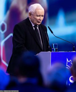 PiS ściąga ludzi. Błyskawiczna reakcja prezydent Łodzi