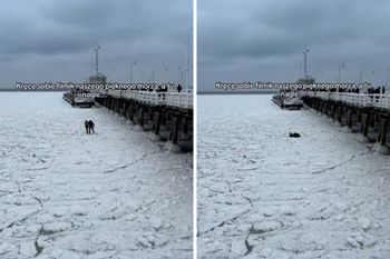 Zeszli z molo na Bałtyk. Lód nagle pękł. Wideo ma już 800 tys. odsłon