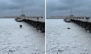 Zeszli z molo na Bałtyk. Lód nagle pękł. Wideo ma już 800 tys. odsłon