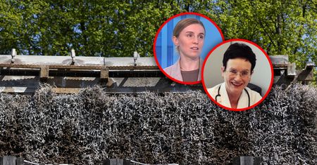 "Biologiczna bomba zegarowa". Polacy chętnie korzystają