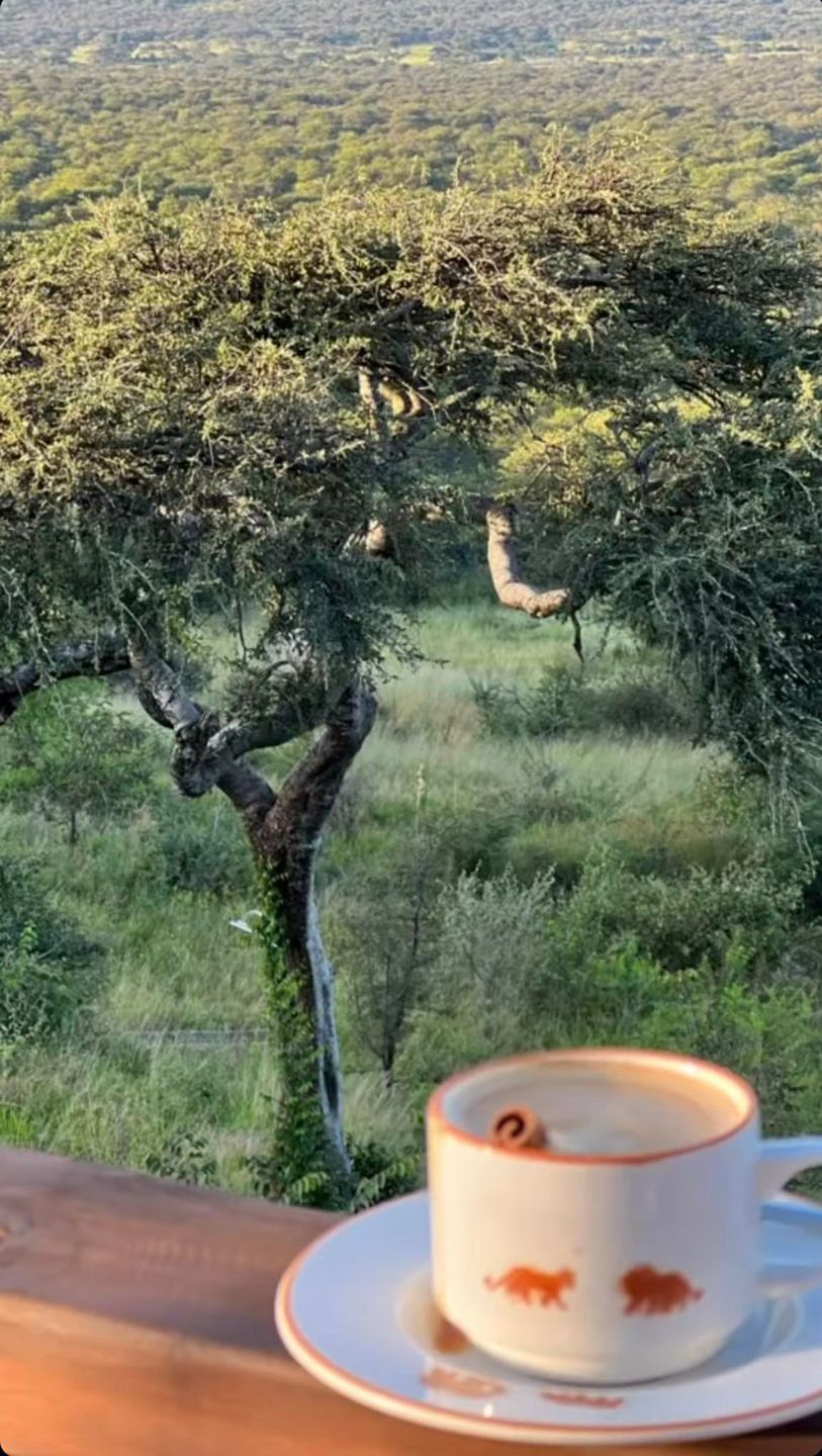 Katarzyna Zielińska relacjonuje wakacje na safari