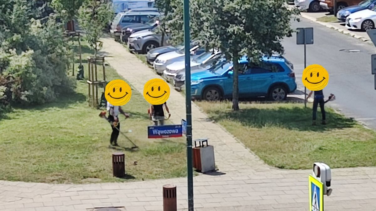 Awantura o koszenie na Ursynowie. 30 stopni w cieniu, a trawa rzy samej ziemii