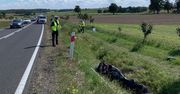 "Jechał o wiele za szybko". Koszmarny wypadek motocyklisty