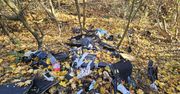 Gorzów: Opony, fotele i plastik. Ktoś urządził dzikie wysypisko
