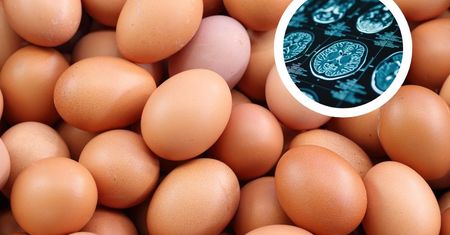 Jedz regularnie, by ochronić się przed demencją. Kluczowa jest liczba
