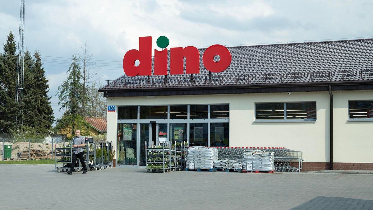 Ogrodnicza nowość przed marketami Dino