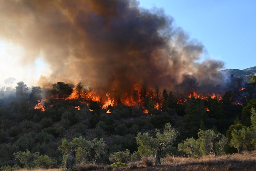 Pożary lasów w Grecji 