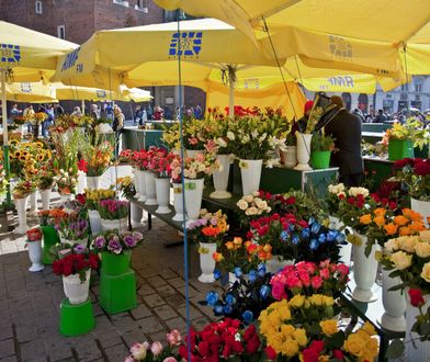 W Polsce brakuje ogrodników. "Przerzucają się na uprawę warzyw. Kwiaty będą bardzo drogie"