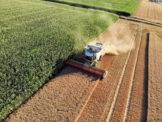 KOWR: Eksport towarów rolno-spoż. wzrósł o 7% r/r do 31,3 mld euro w I-XI