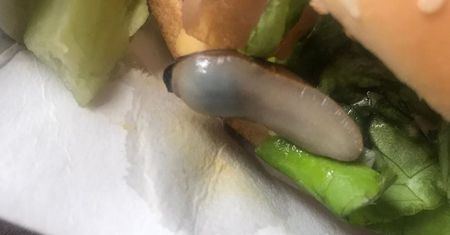McDonald's. Zamówili burgera. Zajrzeli do środka i przerazili się