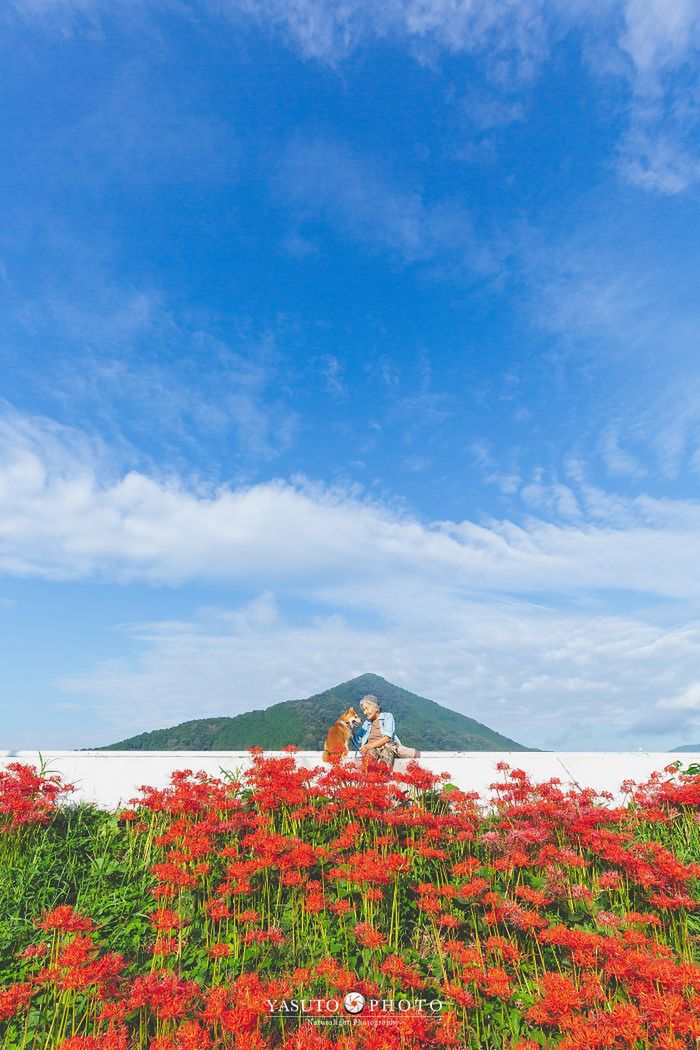 Piękna przyjaźń staruszki i jej psa utrwalona na zdjęciach 10