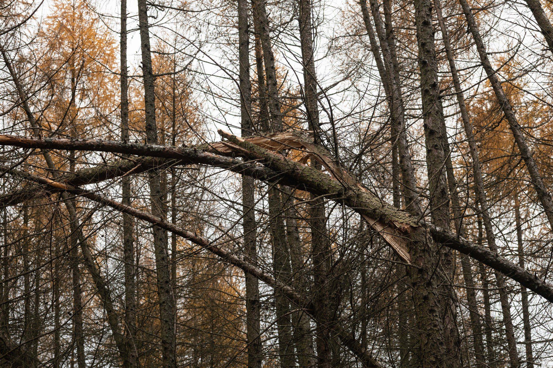 Trwa wyjaśnianie okoliczności tragedii w Cierpiszu