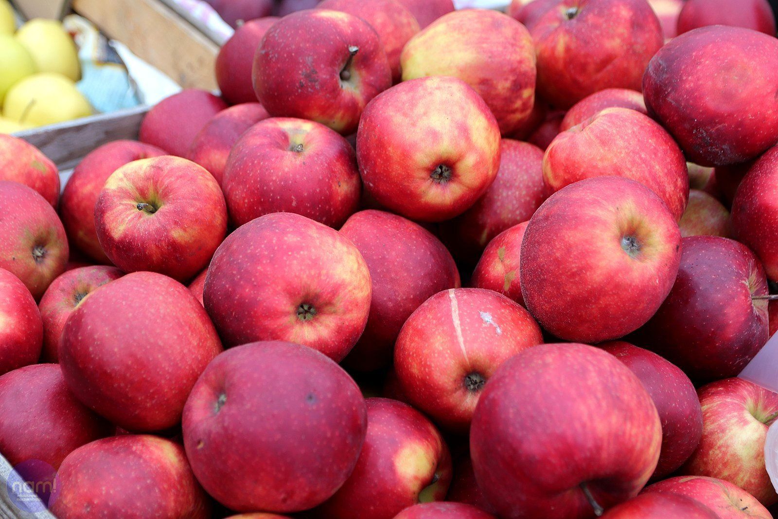 Targowisko miejskie przy ulicy Kaliskiej we Włocławku, 6 grudnia 2025 roku