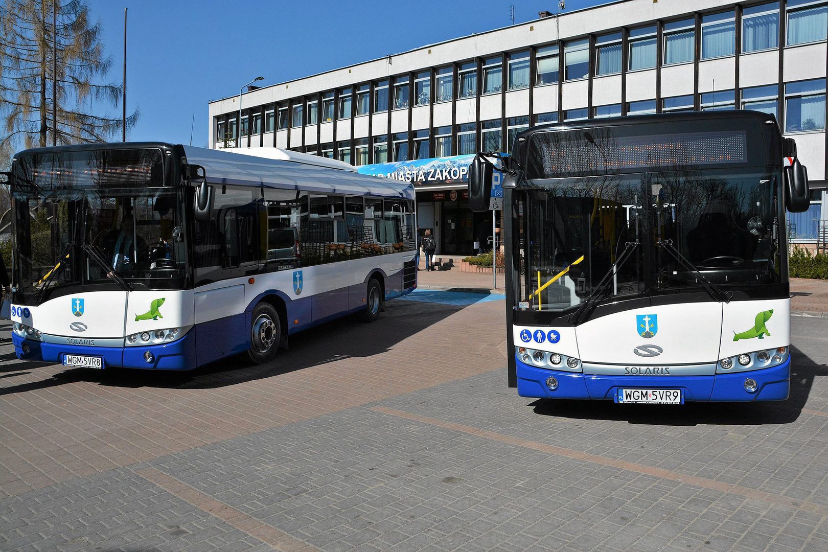 Wyrzucili obcokrajowca z autobusu w Zakopanem. Interwencja burmistrza