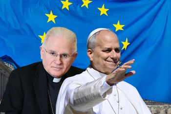 Europejscy biskupi z apelem u papieża. Chcą specjalnego wysłannika