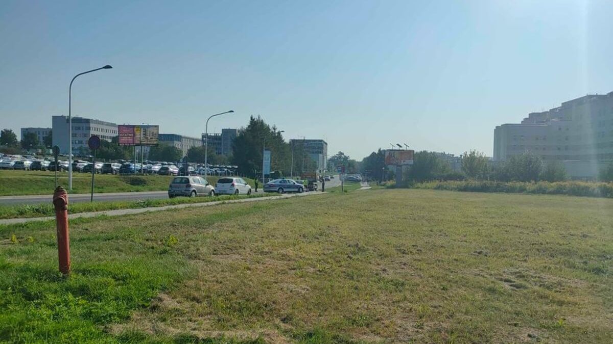 Strażnicy miejscy odholowujący samochody zaparkowane na zatoce przystankowej przy ul. Fijałkowskiego