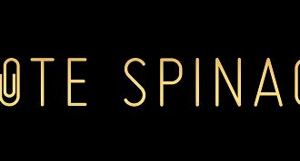 Rekordowa liczba 266 zgłoszeń do konkursu Złote Spinacze 2017