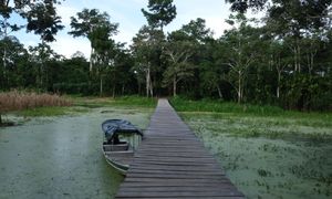 Katastrofa w porcie w Peru. Nie żyje 12 osób