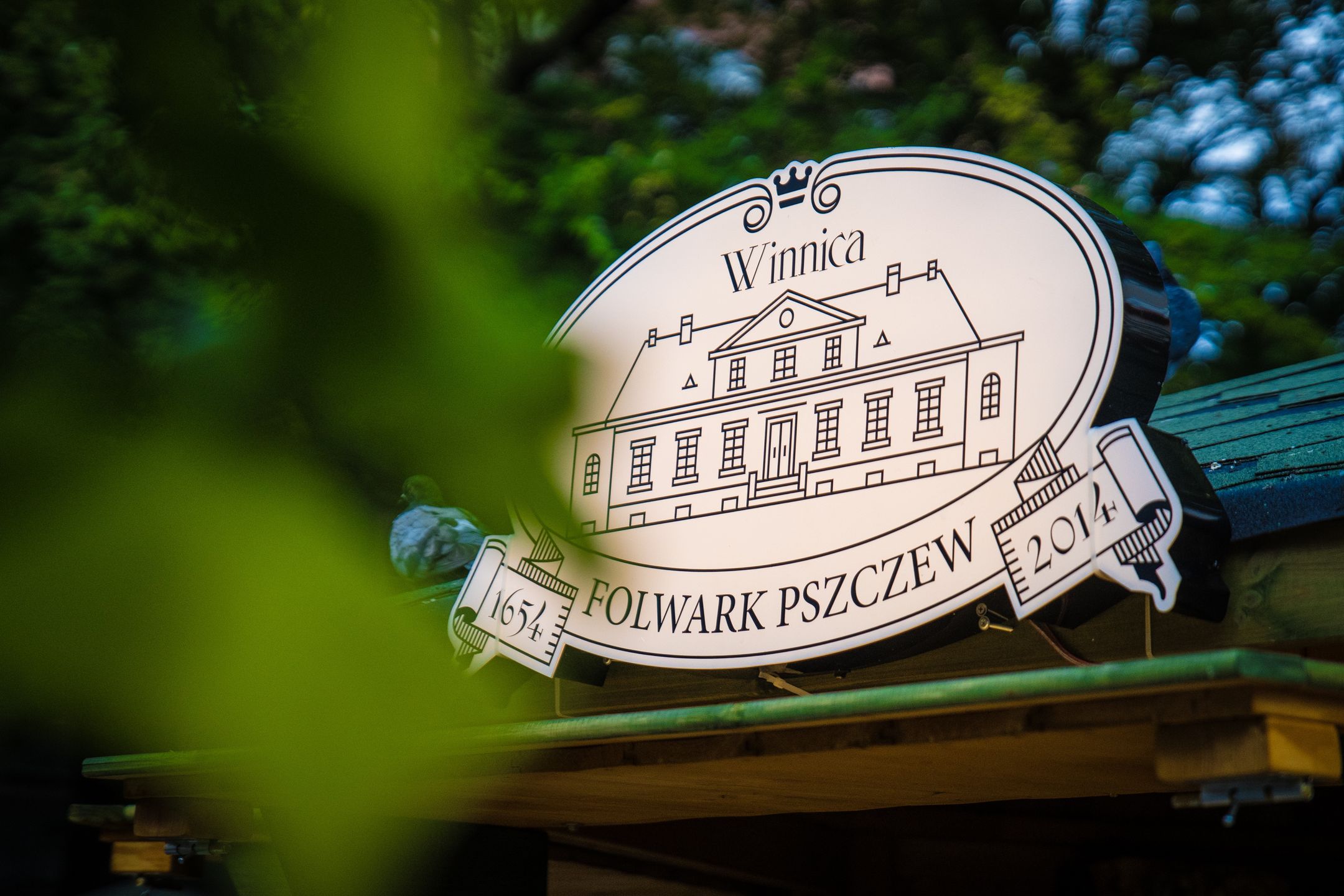 Winobranie w Zielonej Górze