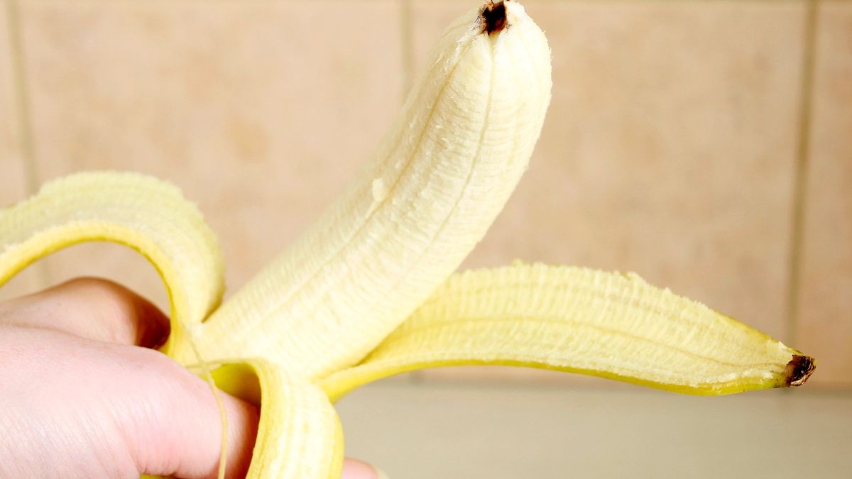 Czarna końcówka banana