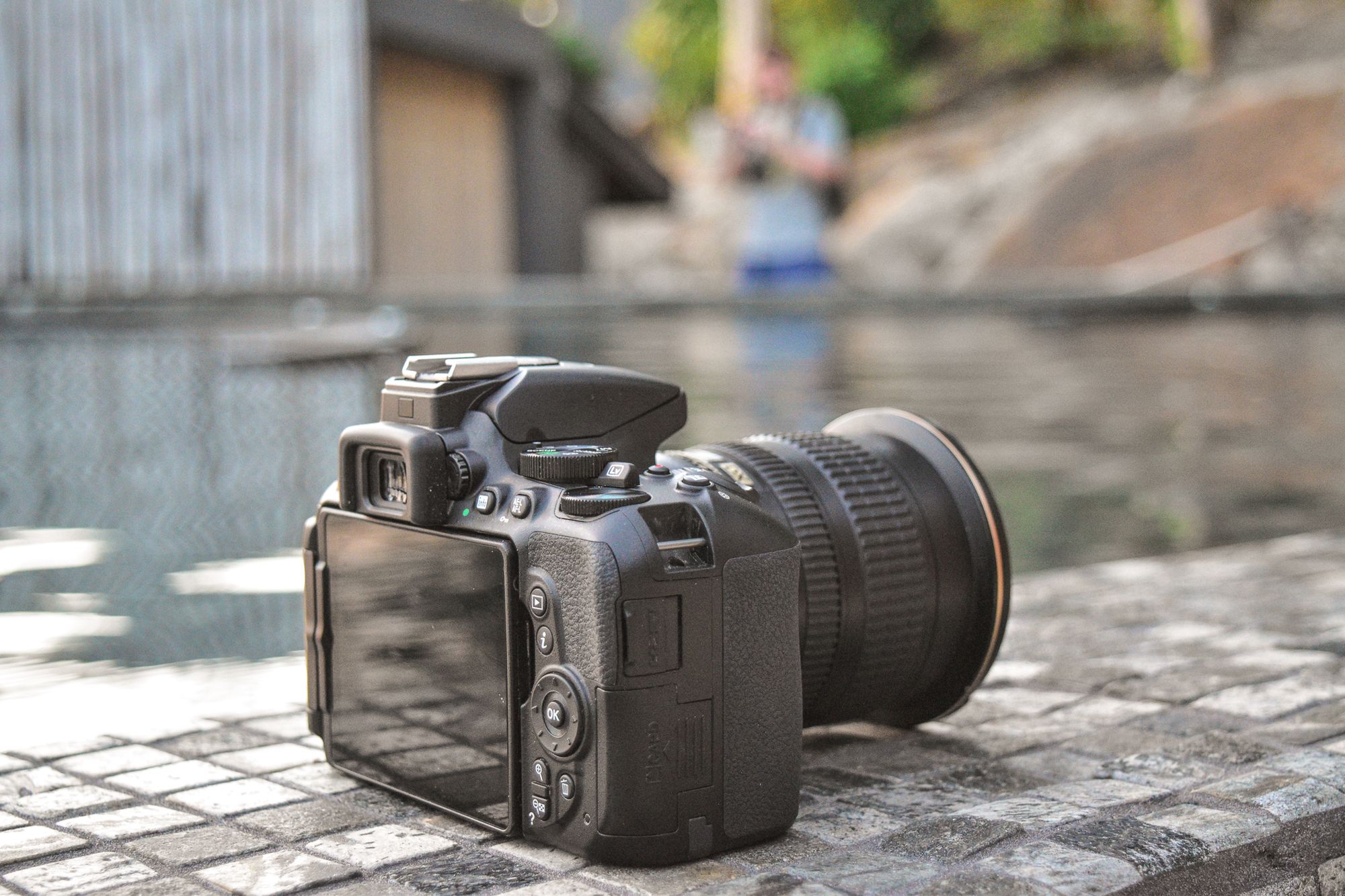 Nikon D5500 - pierwsze wrażenia i przykładowe zdjęcia z Tajlandii 2