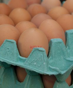 Ostrzeżenie GIS: salmonella na skorupkach jaj. Sprawdź, czy masz jej domu