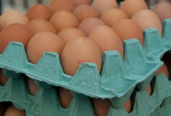 Ostrzeżenie GIS: salmonella na skorupkach jaj. Sprawdź, czy masz jej domu