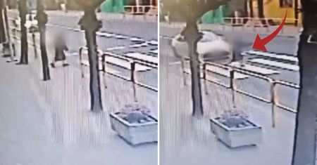 Nie zauważyła pieszej. Moment potrącenia nagrała kamera
