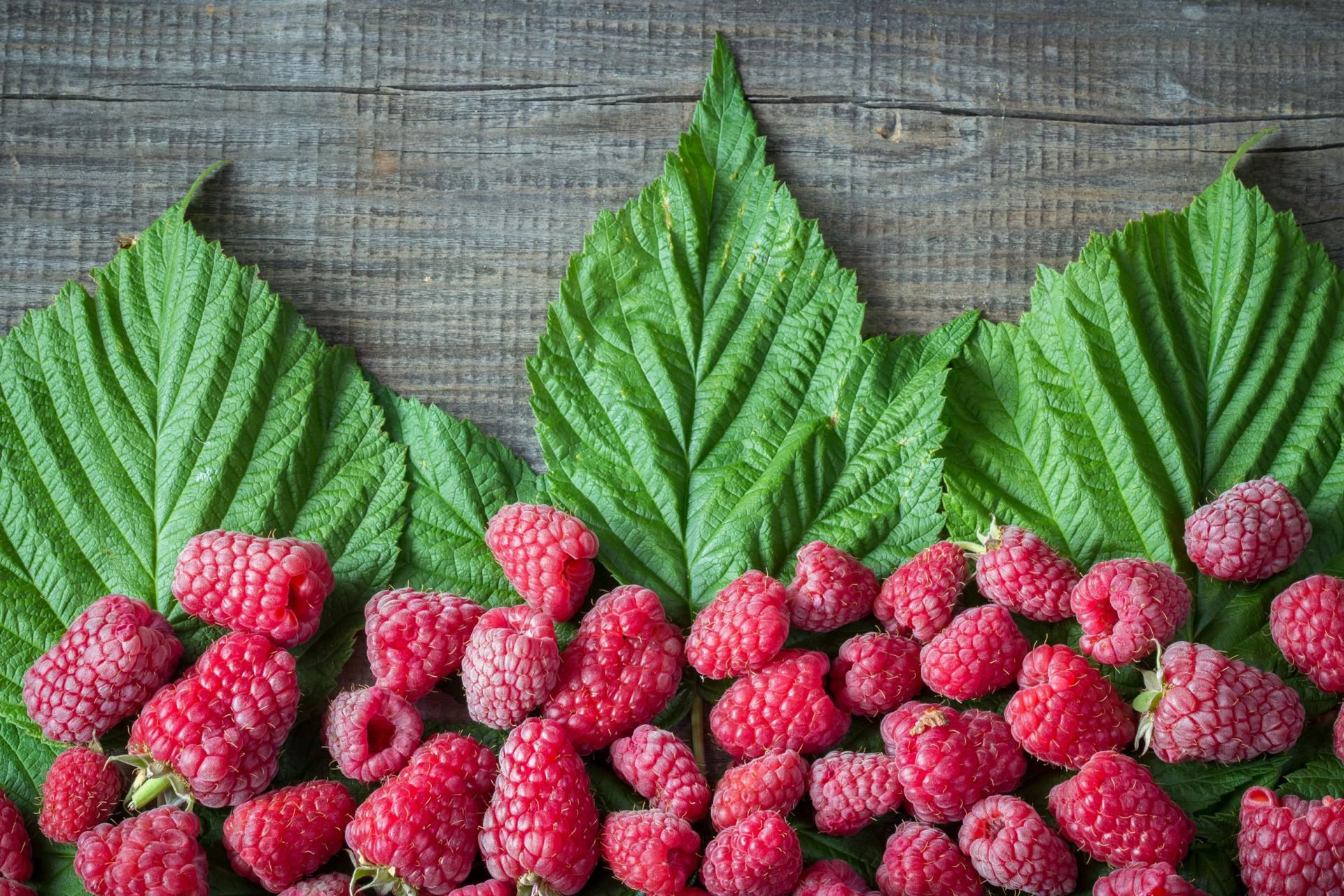 Maliny i ich wpływ na zdrowie nerek
