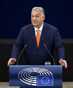 Orban jedzie do Gruzji. Kategoryczna reakcja UE