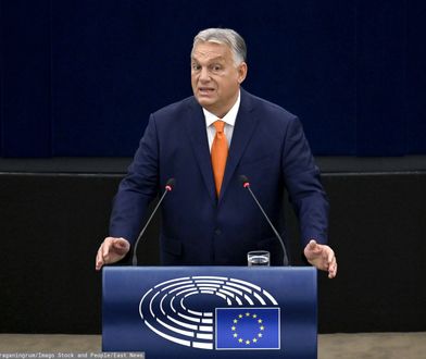 Orban jedzie do Gruzji. Kategoryczna reakcja UE