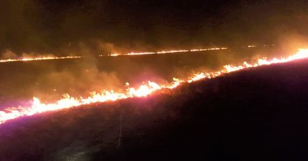 Pożar traw na nadnoteckich łąkach