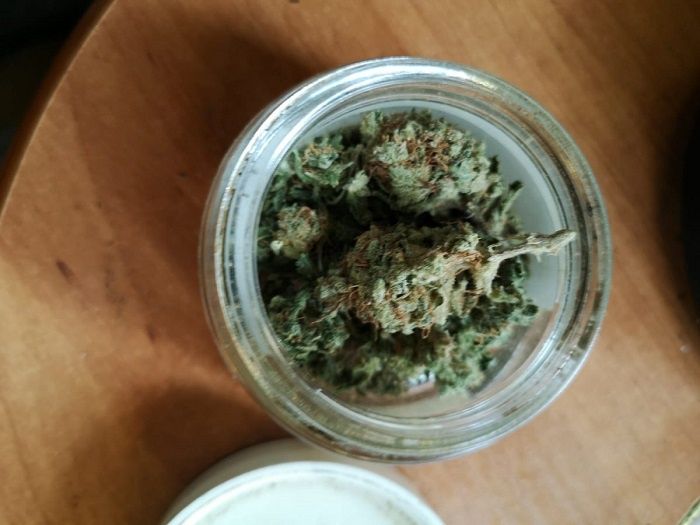 Marihuana w domu 35-latki | fot. KMP Lublin