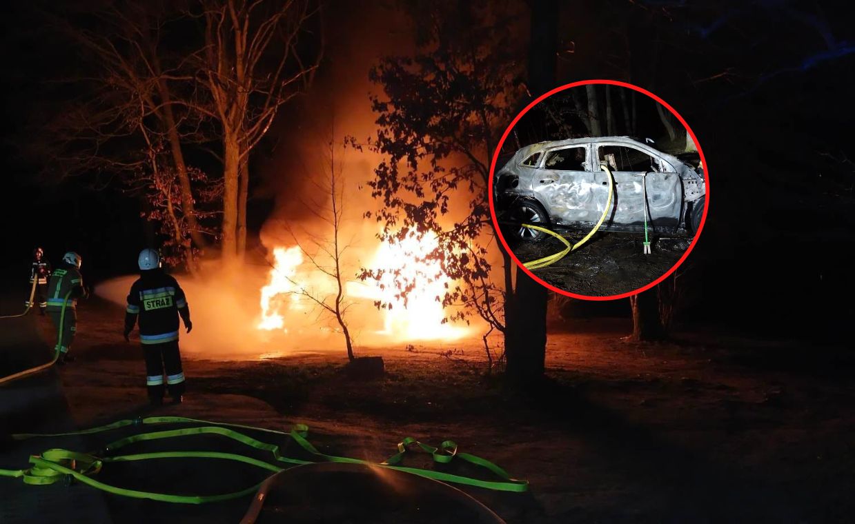 Trudno uwierzyć, jak długo gasili ten samochód elektryczny