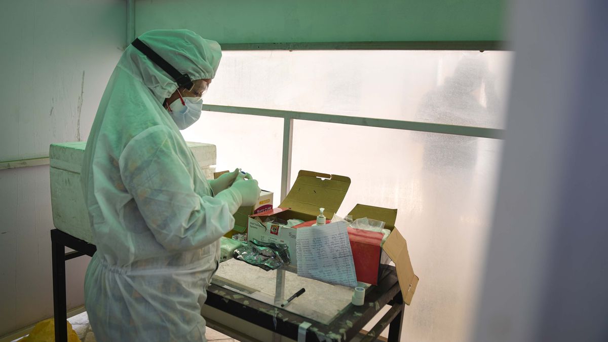NEW DELHI, INDIA - JUNE 16: A medical worker wearing PPE coveralls collects a swab sample from a patient to test for COVID-19 infection, at a testing centre, in Karkardooma on June 16, 2020 in New Delhi, India. (Photo by Sanchit Khanna/Hindustan Times via Getty Images)