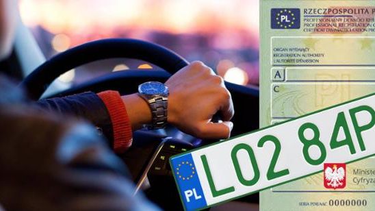 Do tej pory mianem zielonej, określano profesjonalną tablicę rejestracyjną