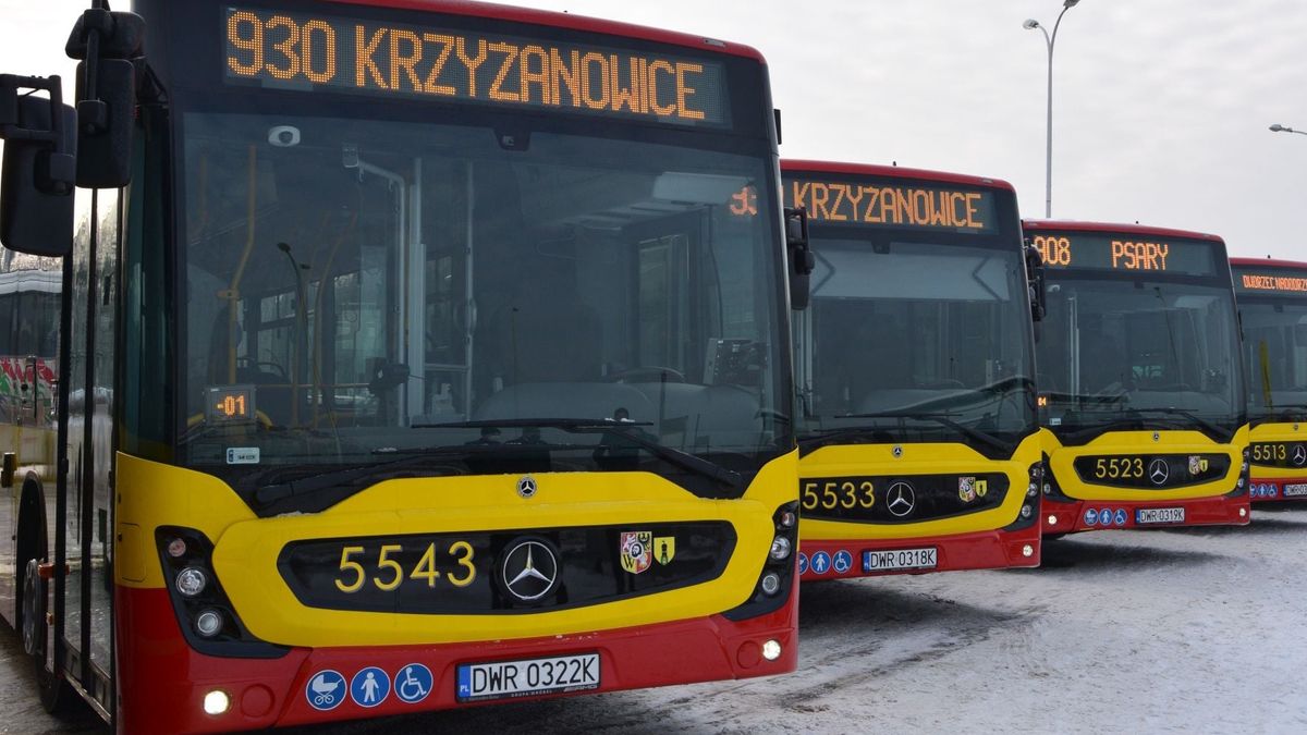 autobusy autobus DLA Dolnośląskie Linie Autobusowe