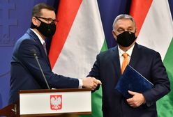 Weto w UE. Zakrocki: "Idziemy w stronę izolacji" [OPINIA]