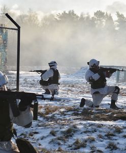 Niemcy przejęli się krytyką z Warszawy. "Polacy mają nas za naiwniaków"
