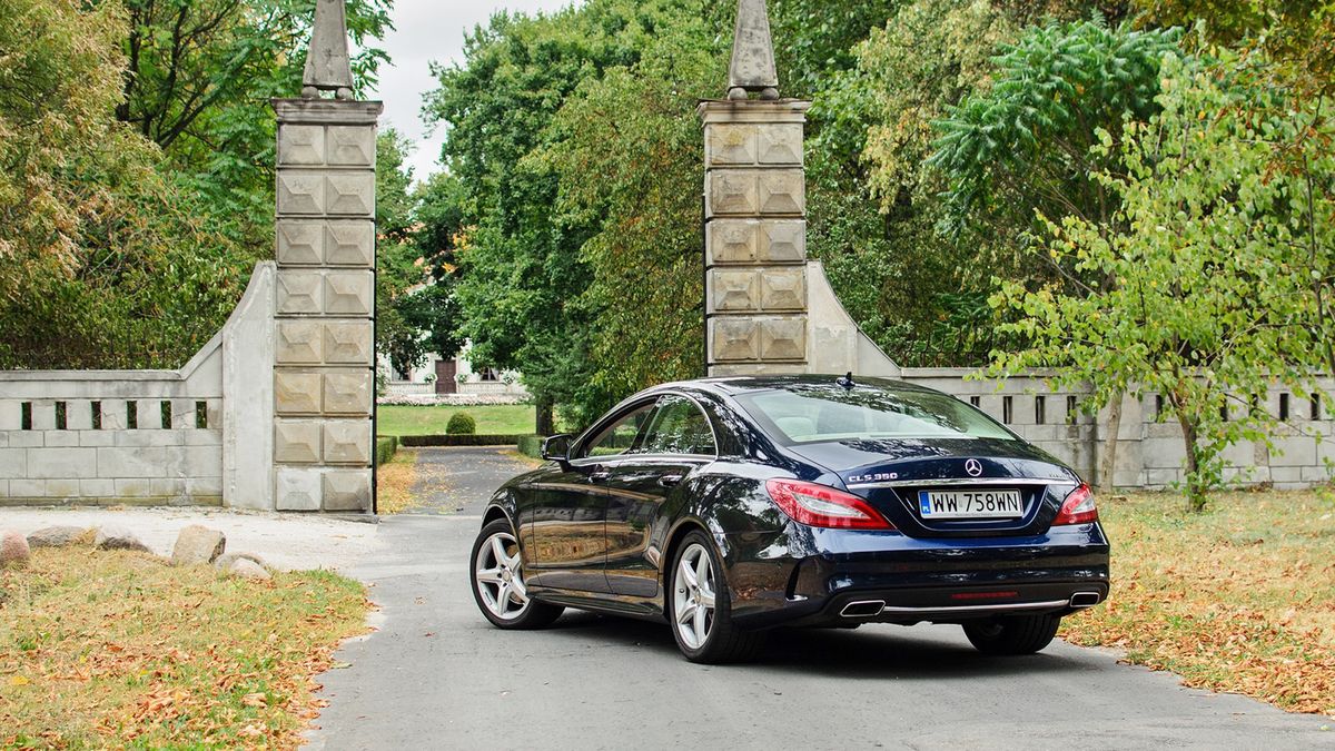 Zdjęcie ilustracyjne do artykułu