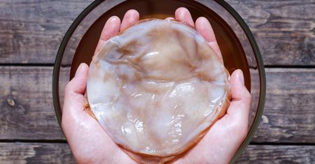 Kombucha. Poznaj sekret magicznego grzyba