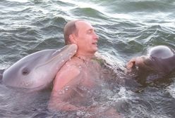 Delfiny bojowe. Rosjanie wciągnęli w wojnę morskie ssaki zabrane Ukraińcom