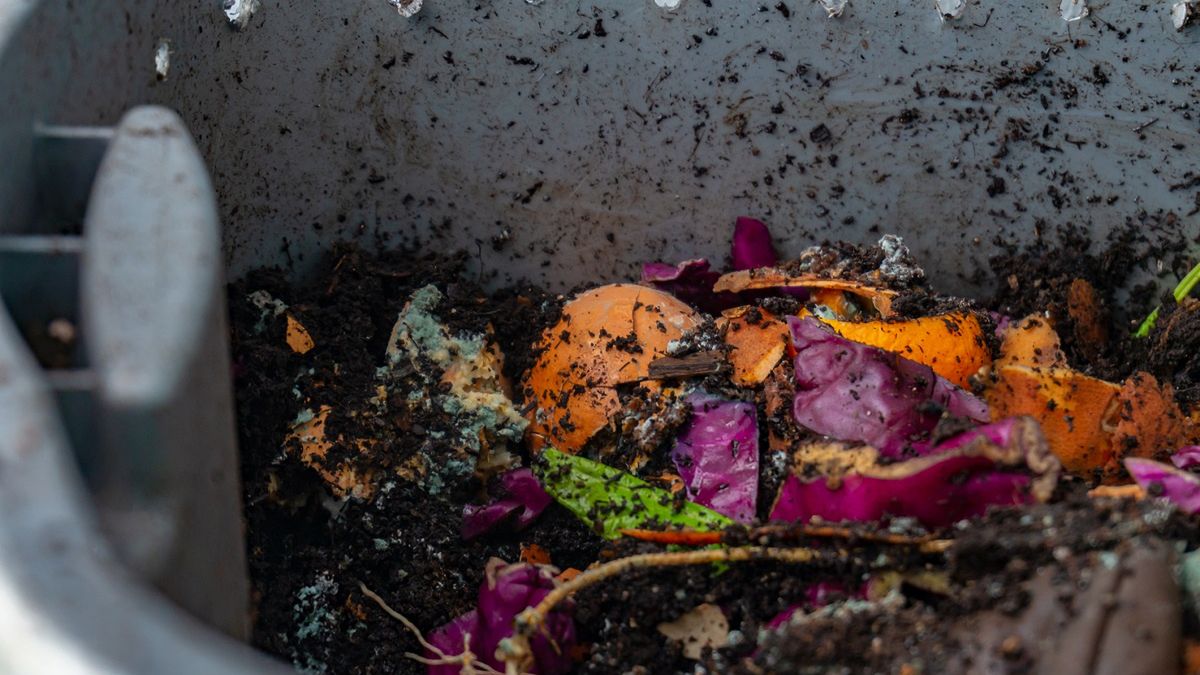 Kompostowanie na gorąco jest szybsze od tradycyjnego.