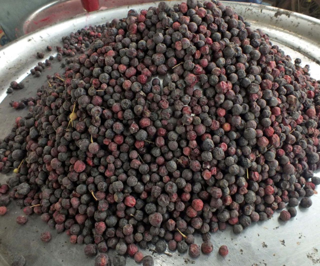 Najzdrowsze owoce. Chronią przed zakrzepicą i miażdżycą