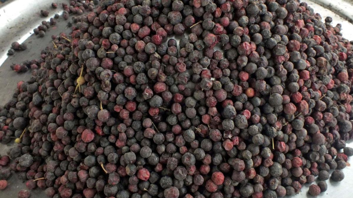 Te owoce redukują ryzyko miażdżycy i zakrzepicy