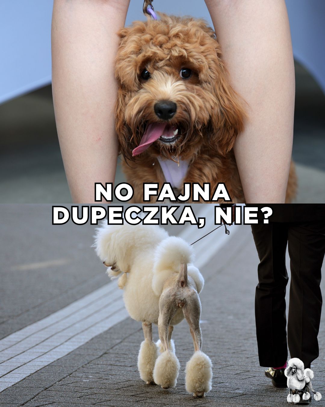 Najlepsze TEKSTY z "Love is Blind"