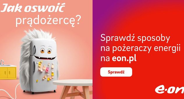 E.ON Polska oswaja prądożerców