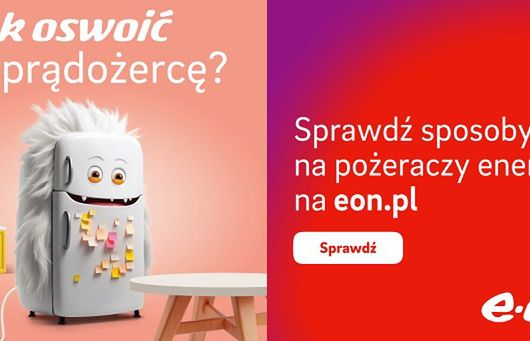 E.ON Polska oswaja prądożerców